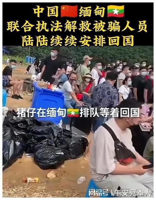 缅北被害人爆料视频,揭秘缅北地区黑暗真相